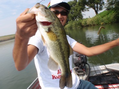 プロショップオオツカ バスフィッシング用品ネット通信販売 ブログ写真 2010/12/31