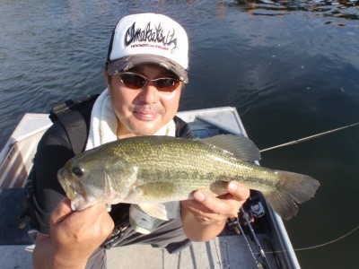 プロショップオオツカ バスフィッシング用品ネット通信販売 ブログ写真 2010/12/31