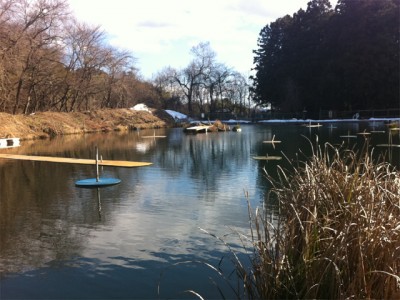 プロショップオオツカ バスフィッシング用品ネット通信販売 ブログ写真 2011/01/19