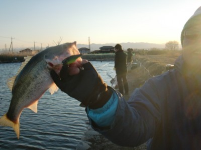 プロショップオオツカ バスフィッシング用品ネット通信販売 ブログ写真 2011/01/21