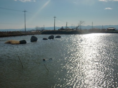 プロショップオオツカ バスフィッシング用品ネット通信販売 ブログ写真 2011/01/21