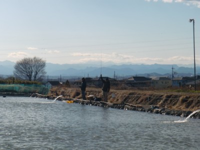 プロショップオオツカ バスフィッシング用品ネット通信販売 ブログ写真 2011/01/21