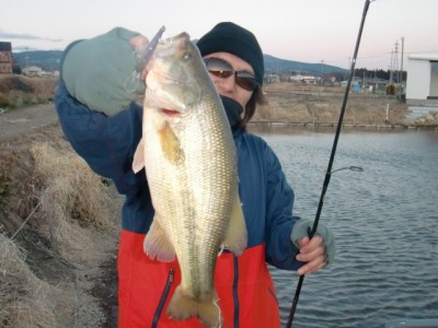 プロショップオオツカ バスフィッシング用品ネット通信販売 ブログ写真 2011/01/21