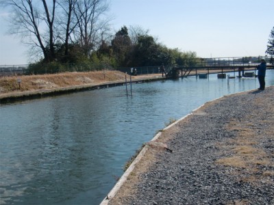 プロショップオオツカ バスフィッシング用品ネット通信販売 ブログ写真 2011/01/26