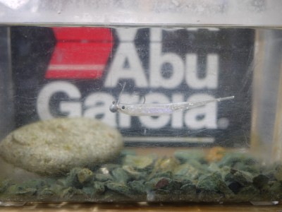 プロショップオオツカ バスフィッシング用品ネット通信販売 ブログ写真 2011/02/10