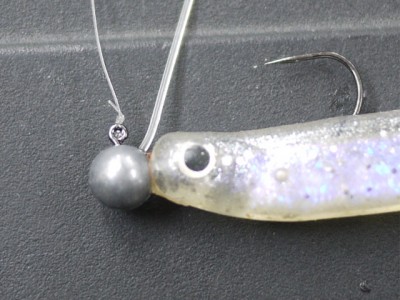 プロショップオオツカ バスフィッシング用品ネット通信販売 ブログ写真 2011/02/10