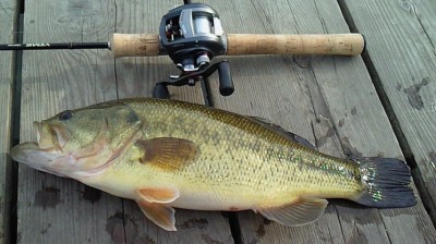 プロショップオオツカ バスフィッシング用品ネット通信販売 ブログ写真 2011/02/11