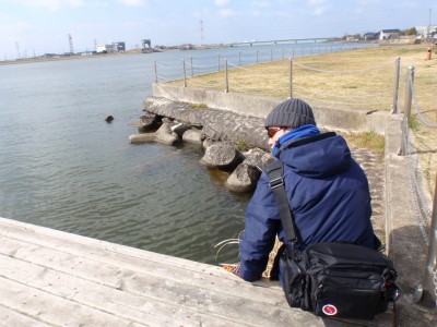 プロショップオオツカ バスフィッシング用品ネット通信販売 ブログ写真 2011/02/23