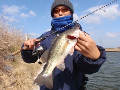 プロショップオオツカ バスフィッシング用品ネット通信販売 ブログ写真 2011/02/23