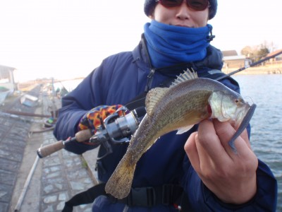 プロショップオオツカ バスフィッシング用品ネット通信販売 ブログ写真 2011/02/23