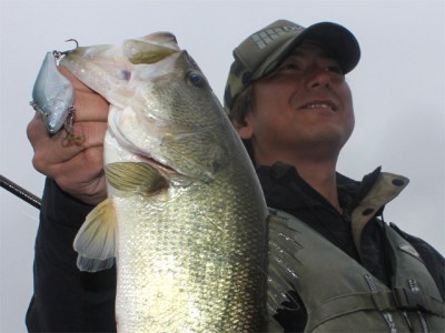 プロショップオオツカ バスフィッシング用品ネット通信販売 ブログ写真 2011/03/03