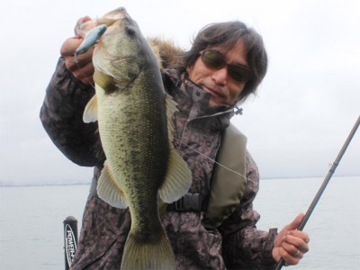 プロショップオオツカ バスフィッシング用品ネット通信販売 ブログ写真 2011/03/03