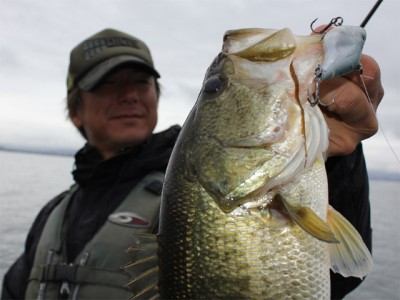 プロショップオオツカ バスフィッシング用品ネット通信販売 ブログ写真 2011/03/03