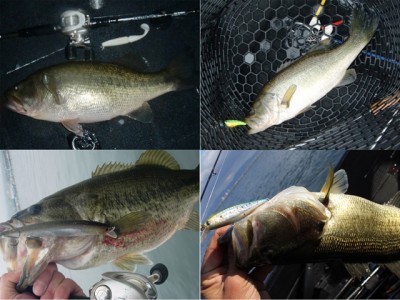 プロショップオオツカ バスフィッシング用品ネット通信販売 ブログ写真 2011/03/03