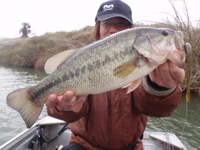 プロショップオオツカ バスフィッシング用品ネット通信販売 ブログ写真 2011/03/23