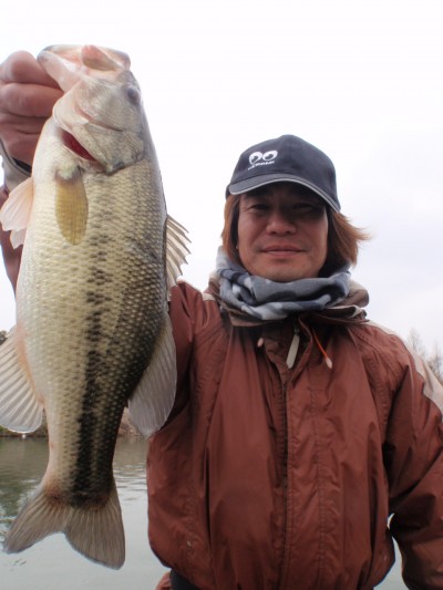 プロショップオオツカ バスフィッシング用品ネット通信販売 ブログ写真 2011/03/23