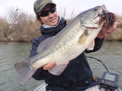 プロショップオオツカ バスフィッシング用品ネット通信販売 ブログ写真 2011/03/23