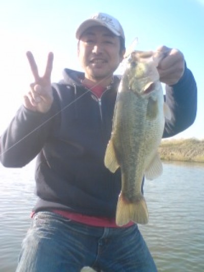 プロショップオオツカ バスフィッシング用品ネット通信販売 ブログ写真 2011/04/06