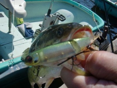 プロショップオオツカ バスフィッシング用品ネット通信販売 ブログ写真 2011/04/13