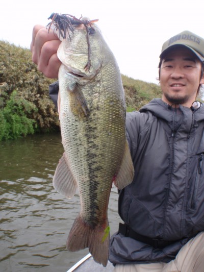 プロショップオオツカ バスフィッシング用品ネット通信販売 ブログ写真 2011/04/20