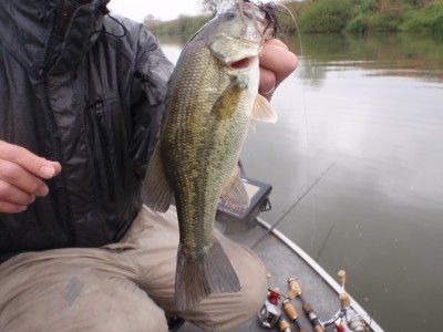 プロショップオオツカ バスフィッシング用品ネット通信販売 ブログ写真 2011/04/20