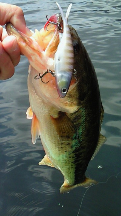 プロショップオオツカ バスフィッシング用品ネット通信販売 ブログ写真 2011/04/25