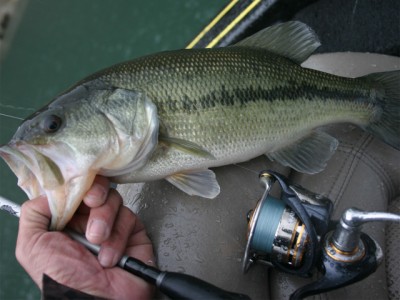 プロショップオオツカ バスフィッシング用品ネット通信販売 ブログ写真 2011/04/29