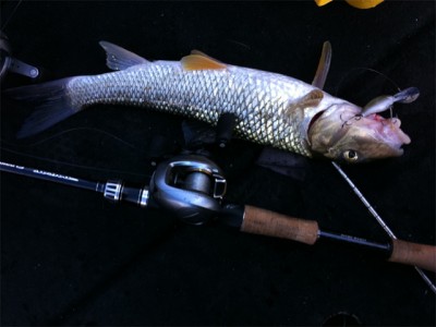 プロショップオオツカ バスフィッシング用品ネット通信販売 ブログ写真 2011/04/29