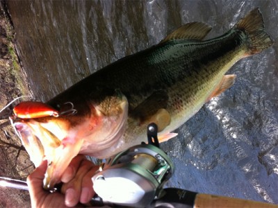 プロショップオオツカ バスフィッシング用品ネット通信販売 ブログ写真 2011/04/29