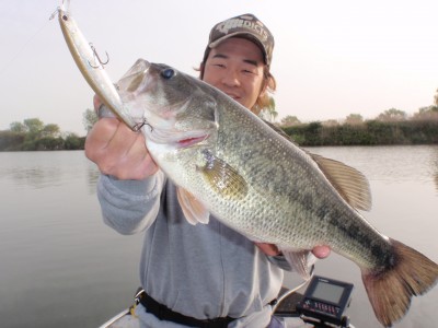 プロショップオオツカ バスフィッシング用品ネット通信販売 ブログ写真 2011/05/03