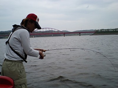 プロショップオオツカ バスフィッシング用品ネット通信販売 ブログ写真 2011/05/12