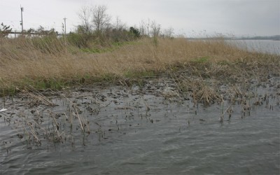 プロショップオオツカ バスフィッシング用品ネット通信販売 ブログ写真 2011/05/13