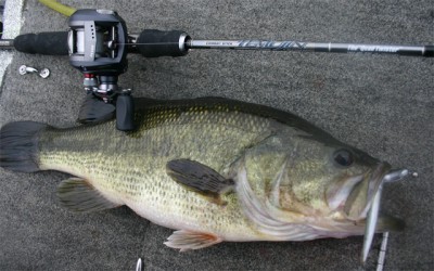 プロショップオオツカ バスフィッシング用品ネット通信販売 ブログ写真 2011/05/13