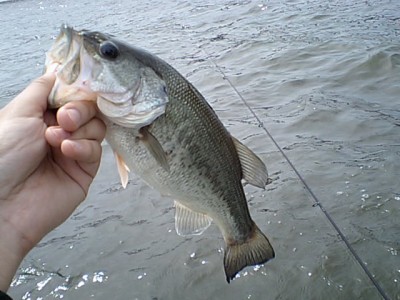 プロショップオオツカ バスフィッシング用品ネット通信販売 ブログ写真 2011/05/13