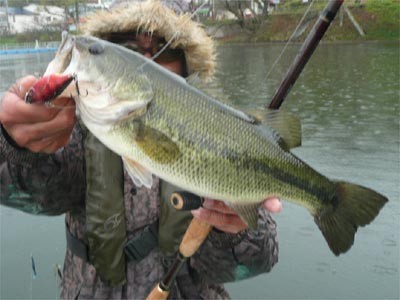 プロショップオオツカ バスフィッシング用品ネット通信販売 ブログ写真 2011/05/18