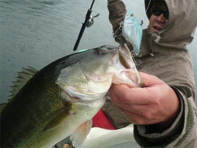 プロショップオオツカ バスフィッシング用品ネット通信販売 ブログ写真 2011/05/18