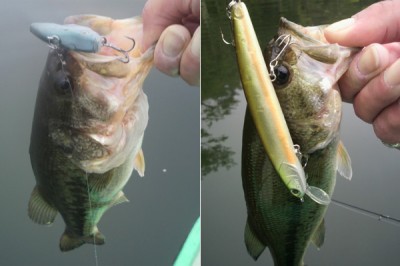 プロショップオオツカ バスフィッシング用品ネット通信販売 ブログ写真 2011/05/23