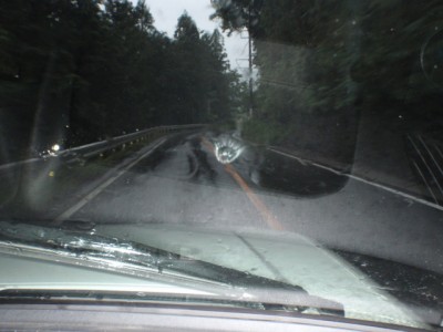 プロショップオオツカ バスフィッシング用品ネット通信販売 ブログ写真 2011/05/25