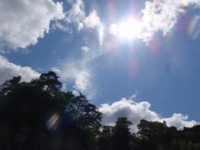 プロショップオオツカ バスフィッシング用品ネット通信販売 ブログ写真 2011/05/25