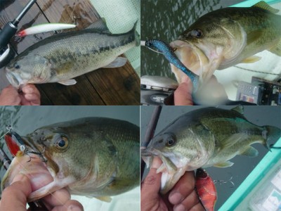 プロショップオオツカ バスフィッシング用品ネット通信販売 ブログ写真 2011/05/26