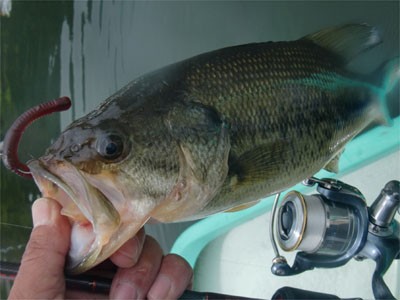 プロショップオオツカ バスフィッシング用品ネット通信販売 ブログ写真 2011/05/26