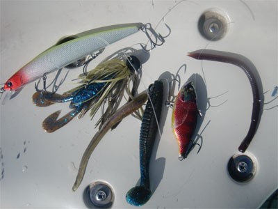 プロショップオオツカ バスフィッシング用品ネット通信販売 ブログ写真 2011/05/26