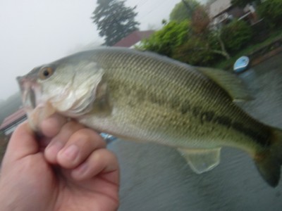 プロショップオオツカ バスフィッシング用品ネット通信販売 ブログ写真 2011/05/26