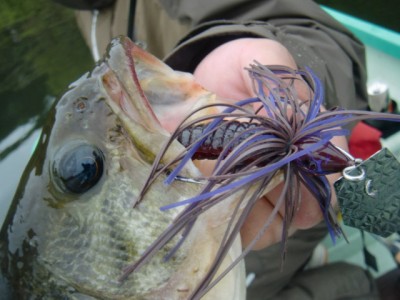 プロショップオオツカ バスフィッシング用品ネット通信販売 ブログ写真 2011/05/26