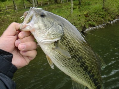 プロショップオオツカ バスフィッシング用品ネット通信販売 ブログ写真 2011/05/26