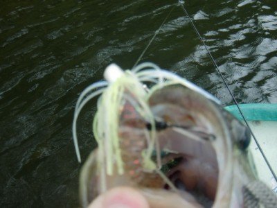 プロショップオオツカ バスフィッシング用品ネット通信販売 ブログ写真 2011/05/26