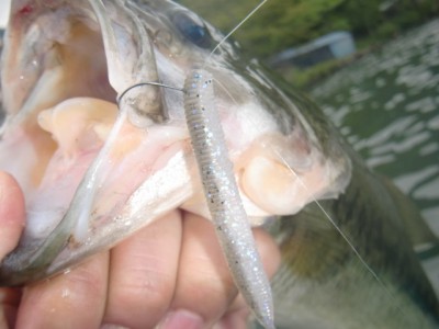 プロショップオオツカ バスフィッシング用品ネット通信販売 ブログ写真 2011/06/02