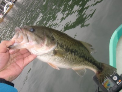 プロショップオオツカ バスフィッシング用品ネット通信販売 ブログ写真 2011/06/02