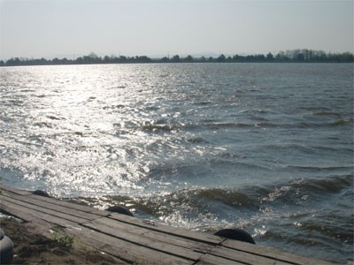 プロショップオオツカ バスフィッシング用品ネット通信販売 ブログ写真 2011/06/03