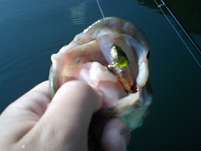 プロショップオオツカ バスフィッシング用品ネット通信販売 ブログ写真 2011/06/15